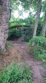 Hundeauslaufgebiet-Am alten Schwimmbad-Bild