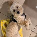 Ersteller:in Kristin Profilbild