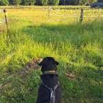 Ersteller:in Amy Profilbild