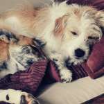 Ersteller:in Sarah Profilbild