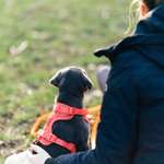 Ersteller:in Julia Profilbild