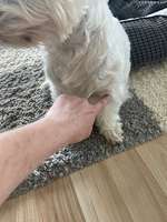 Wucherung-Beitrag-Bild