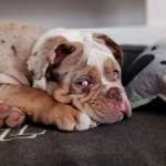 Ersteller:in Johanna Profilbild