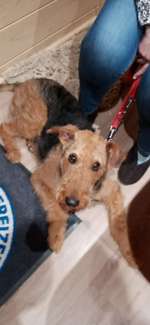 Suchmeldung-Zisa-Bild