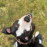 Ersteller:in Evey Profilbild