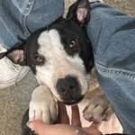 Ersteller:in Evey Profilbild