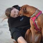 Ersteller:in Josephine Profilbild