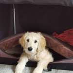 Ersteller:in Isabel Profilbild