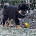 Ersteller:in Annika Profilbild