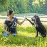 Ersteller:in Theresa Profilbild