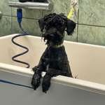 Ersteller:in Isabelle Profilbild