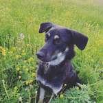 Ersteller:in Anne Profilbild