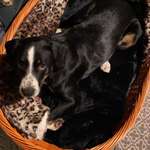 Ersteller:in Julia Profilbild