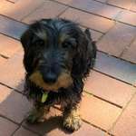 Ersteller:in Stephanie Profilbild