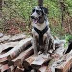 Ersteller:in Jana Profilbild