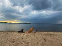 Hundeauslaufgebiet-Lindhoeft-Bild