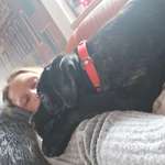 Ersteller:in Janina Profilbild