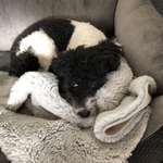 Ersteller:in Gabriele Profilbild