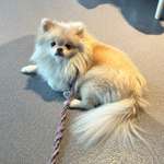 Ersteller:in San Profilbild