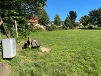 Hundeauslaufgebiet-Konradstraße-Bild