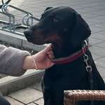 Ersteller:in H Profilbild