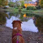 Ersteller:in Lisa Profilbild