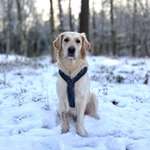 Ersteller:in Julia Profilbild