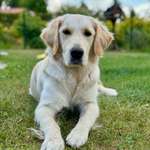 Ersteller:in Julia Profilbild