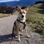 Ersteller:in Nadine Profilbild