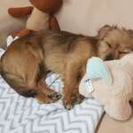 Ersteller:in Cora Profilbild