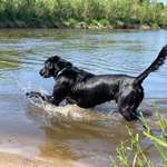 Ersteller:in Jasmin Profilbild