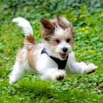 Ersteller:in Daniela Profilbild