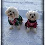 Ersteller:in Nanette Profilbild