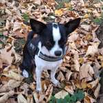 Ersteller:in Uta Profilbild