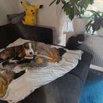 Ersteller:in Jan Profilbild