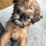 Ersteller:in Christiane Profilbild