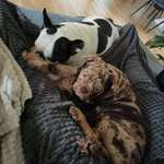 Ersteller:in Annika Profilbild