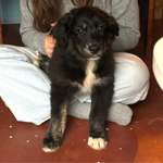 Ersteller:in Janika Profilbild