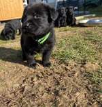 Tipps für die ersten Wochen-Beitrag-Bild