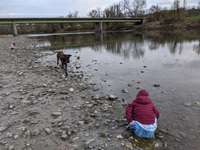Hundeauslaufgebiet-Kraiburg-Bild