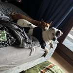 Ersteller:in Sören Profilbild