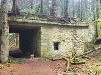 Hundeauslaufgebiet-Bückeberg- Dinospuren, Sandsteinbrüche, Aussichtspunkt-Bild