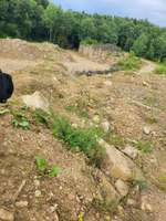 Hundeauslaufgebiet-Bückeberg- Dinospuren, Sandsteinbrüche, Aussichtspunkt-Bild