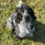 Ersteller:in Larissa Profilbild