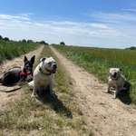 Ersteller:in Sophia Profilbild