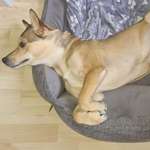 Ersteller:in Rebecca Profilbild