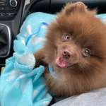 Ersteller:in Michèle Profilbild