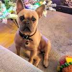 Ersteller:in Simon u Helena Profilbild