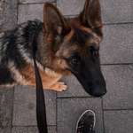 Ersteller:in Jacky Profilbild