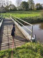 Hundeauslaufgebiet-An der Rreene-Bild